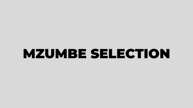 Mzumbe Selected Applicants 2025-2026 PDF Check