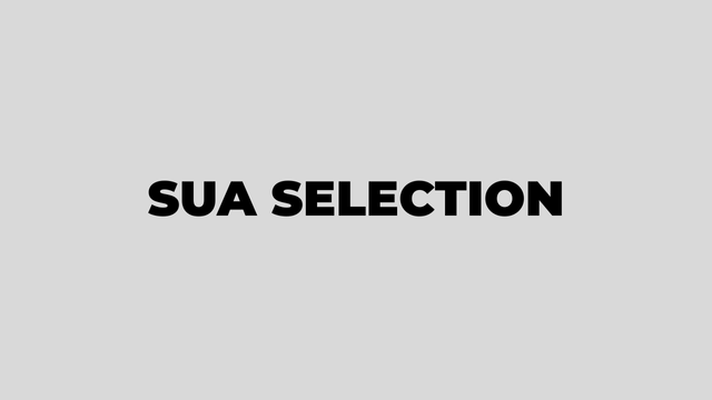 SUA Selected Applicants 2025-2026 PDF Check