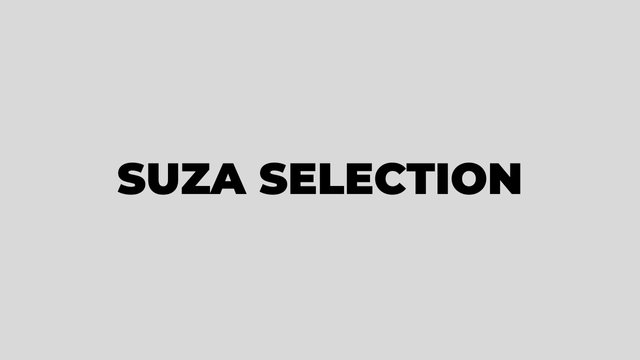 SUZA Selected Applicants 2025-2026 PDF